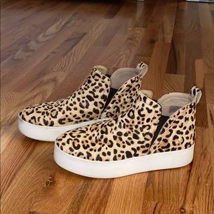 Steve Madden Ferry Sneaker in Leopard Print